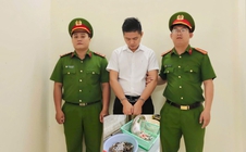 Lộ nhiều đường dây buôn bán động vật hoang dã