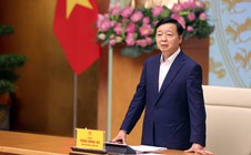 Phó Thủ tướng: Khắc phục ngay những khuyến nghị của EC về chống khai thác IUU