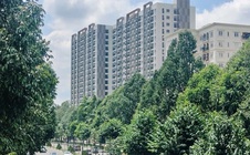 Đồng Nai cảnh báo không mua nhà ở xã hội qua "cò mồi", "suất ngoại giao"