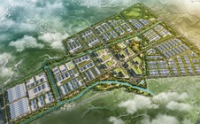 Tập đoàn T&T Group đầu tư dự án quan trọng đối với An Giang và ĐBSCL