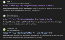 Khởi tố 2 "ông trùm" liên quan đến hệ thống "Xôi Lạc TV"