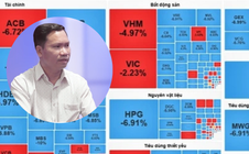 Dầu vượt 100 USD/thùng, VN-Index mất hơn 100 điểm, chuyên gia nói gì?