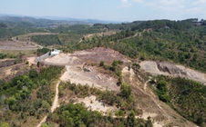 Ngăn rừng "chảy máu"