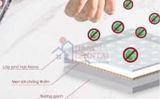 Chọn gạch cho nhà của bạn