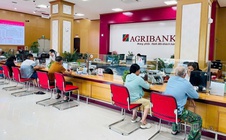 Agribank hạ lãi suất, khẳng định vai trò ngân hàng chủ lực