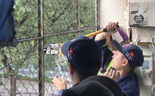 Phường Xuân Hòa dẹp lấn chiếm, tháo "chuồng cọp", gắn bảng số nhà mới