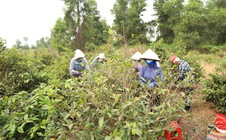 TPHCM đẩy mạnh đào tạo nghề nông nghiệp cho 1.680 lao động năm 2026