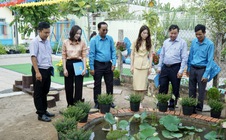 Lan tỏa không gian xanh từ phong trào “Thành phố muôn sắc hoa”