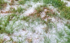 Mưa đá gây hại nặng nề, Phó Chủ tịch UBND tỉnh Quảng Ngãi tới hiện trường kiểm tra