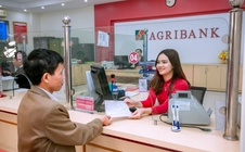 Agribank - Dòng vốn bền bỉ, điểm tựa vững chắc cho người dân và doanh nghiệp