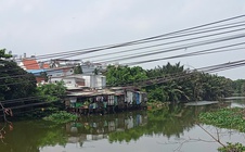 Phản hồi: Gỡ nhánh cây vướng vào dây điện