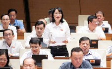 Đại biểu Quốc hội lo ngại khi thiết chế văn hóa ở cơ sở bị thu hẹp