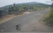 Toàn cảnh các vụ án đáng chú ý trong tuần