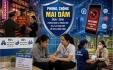 Siết mại dâm cả “ngoài đời” lẫn trên mạng, kiểm tra 95% cơ sở nhạy cảm