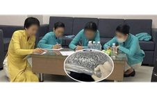 Ai đã bỏ ma tuý vào vali đưa 4 tiếp viên Vietnam Airlines xách về Việt Nam?