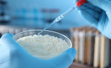 Siêu vật liệu từ gạo hứa hẹn cách mạng hóa công nghệ robot