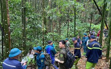 Huy động hơn 300 người tìm kiếm người đàn ông mất tích trong rừng sâu