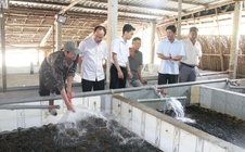 Hệ lụy từ việc đua nhau sản xuất theo phong trào
