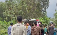 Người đàn ông đi cưa cây thuê bị sét đánh tử vong