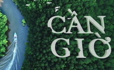 Hội thảo “Cần Giờ - cực tăng trưởng mới của TP HCM”: ý nghĩa thiết thực