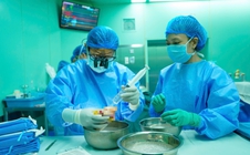 Trong 3 giờ, cả trăm người ghép sự sống cho bệnh nhi 15 tuổi suy tim giai đoạn cuối