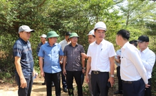 Lãnh đạo Đà Nẵng "gỡ vướng" cho loạt dự án ngàn tỉ khu vực phía Nam