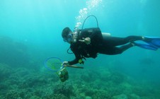 Khoanh vùng bảo vệ san hô vịnh Nha Trang