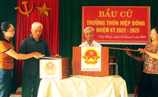 Ai đủ tiêu chuẩn làm Trưởng thôn, Tổ trưởng Tổ dân phố?