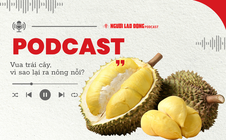 Sầu riêng - "vua" trái cây: Vì sao ra nông nỗi?