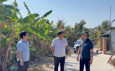 Chủ tịch UBND đặc khu Phú Quốc nói về “tình và lý” trong xử lý vi phạm đất đai ở Gành Dầu