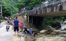 Ô tô chở dầu mất phanh tông vào lan can cầu, tài xế văng xuống suối tử vong