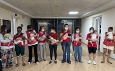Triệt phá hoạt động môi giới mang thai hộ, mua bán trứng, thu lợi bất chính hàng trăm triệu đồng