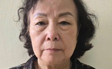 Nữ Viện trưởng Viện Khoa học môi trường và sức khỏe cộng đồng bị khởi tố