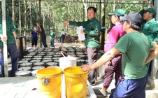 Lan tỏa tinh thần cần cù, tận tụy