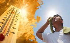 Nắng nóng gay gắt kéo dài nhiều ngày, nhiệt độ nơi nào lên tới 42,2 độ C?