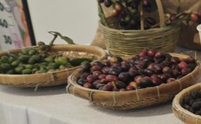 Giá cà phê hôm nay 26-6: Robusta tăng 3 phiên liền, cà phê Việt mở rộng thị phần tại Mỹ