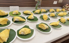 CLIP: Thưởng thức buffet sầu riêng ở Cần Thơ