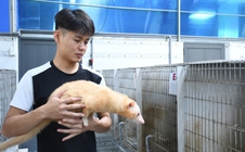 Khám phá trang trại nuôi chồn hương đặc biệt ở TP Đồng Nai