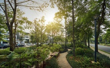 Nam Hà Nội bước vào chu kỳ phát triển mới
