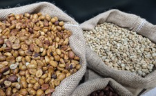 Giá cà phê hôm nay 3-6: Robusta tăng trở lại 