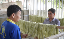 ĐBSCL tăng tốc chuyển đổi xanh