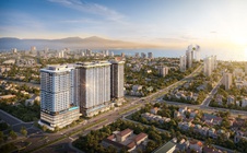 Đầu tư trong chu kỳ tiền khó - Tài sản nào thực sự tạo ra dòng tiền?