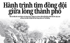 Báo in ngày 9-6: Hành trình tìm đồng đội giữa lòng thành phố