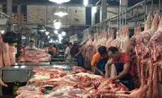 Mở cao điểm kiểm soát nguồn thịt heo vào TP HCM