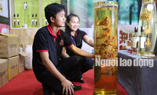 Thu được hơn 4,5 tỉ đồng từ phiên chợ sâm Ngọc Linh