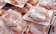 Kiểm tra thịt gà nhập khẩu có dấu hiệu bán phá giá