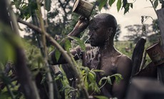 Để được kết hôn, nam thanh niên Senegal sống trong rừng một tháng