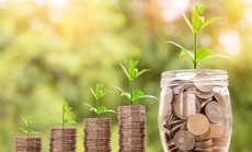 Trees4RealEstate - Gói quà tiết kiệm bền vững cho tương lai Trees4RealEstate - Gói quà tiết kiệm bền vững cho tương lai