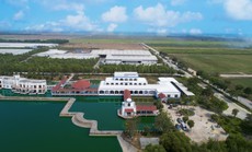 “Resort” bò sữa - ngôi nhà lý tưởng của những cô bò hạnh phúc “Resort” bò sữa - ngôi nhà lý tưởng của những cô bò hạnh phúc