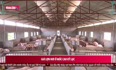 Xem xét dấu hiệu lạm dụng thị trường và làm giá thịt lợn